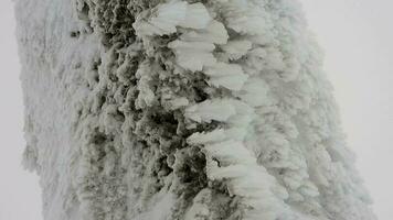 sneeuw lagen accumuleren Aan rots in de moeilijk stormachtig verkoudheid weer in winter video