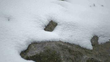 sneeuw lagen accumuleren Aan rots in de moeilijk stormachtig verkoudheid weer in winter video