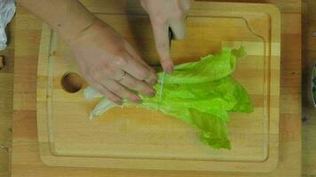 Woman Chopping Lettuce at Wooden Kitchen Table video