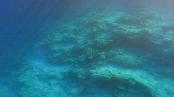 embaixo da agua Visão do esvaziar mar sem plantas e sinais do vida video