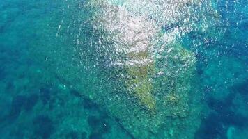 klippig och stenig havsstrand i oberörd hav video