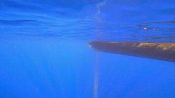 Fishing Net Hanging From Boat Under Sea in Underwater video