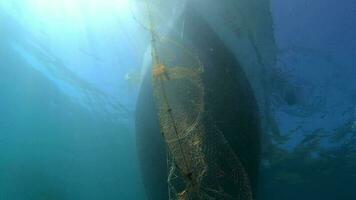 catturato pesce nel netto sospeso a partire dal barca sotto mare video