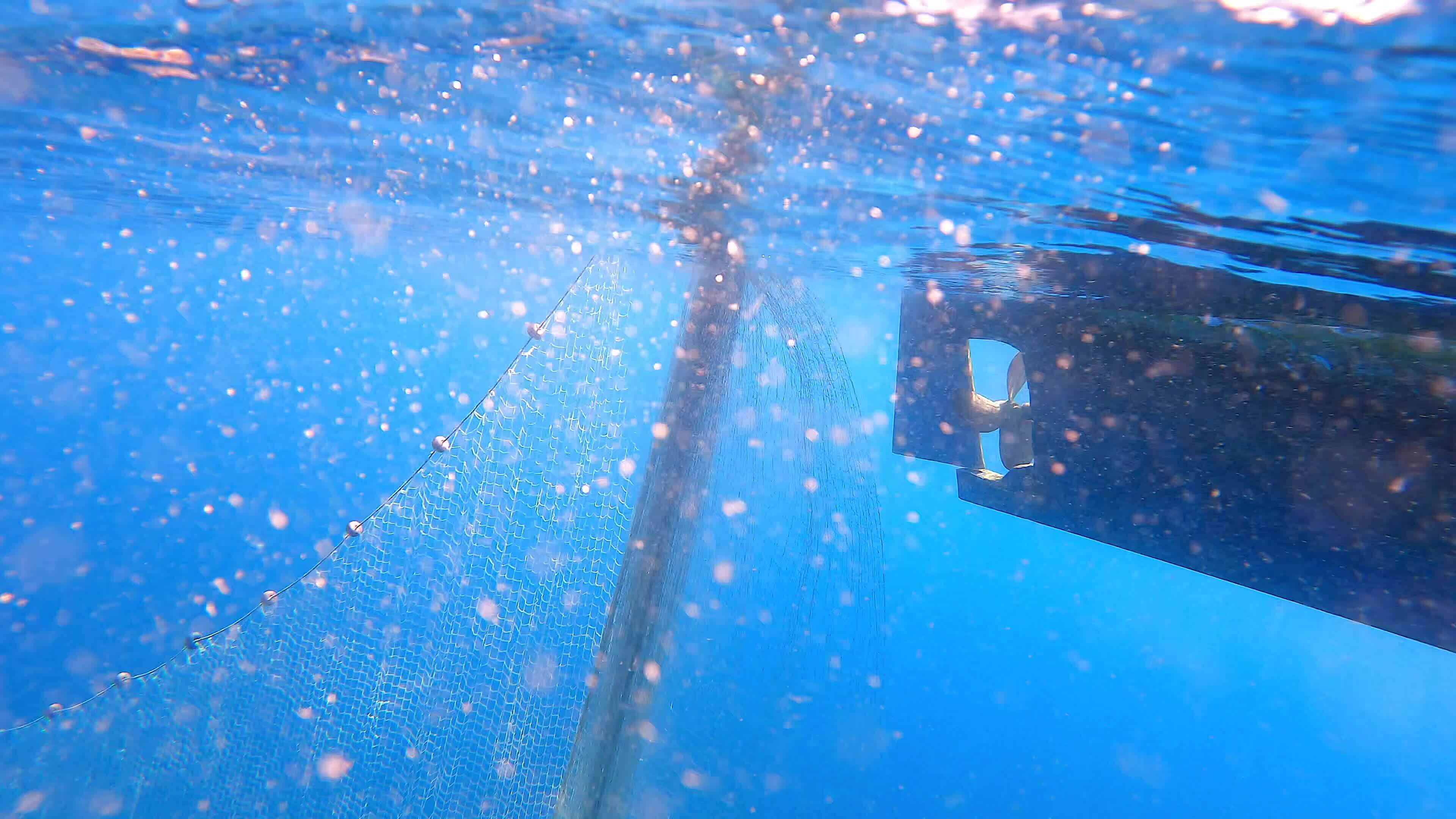 Fishing Net Hanging From Boat Under Sea in Underwater 26569156 Stock Video  at Vecteezy