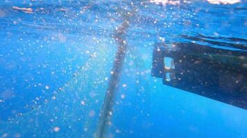fiske netto hängande från båt under hav i under vattnet video