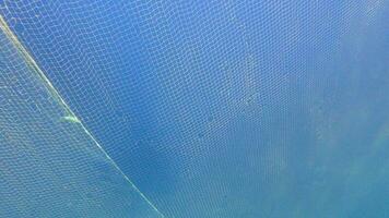 Caught Fish in Net Hanging From Boat Under Sea video