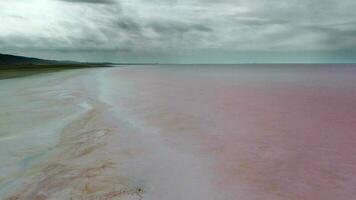 Aerial Pink Colored Salt Lake Shore video
