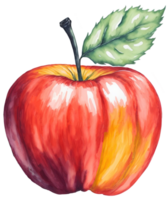 Watercolor red apple isolated on white background. png