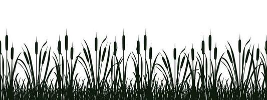 sin costura pantano vegetación silueta. vector ilustración de frontera con cañas para diseño. río totora