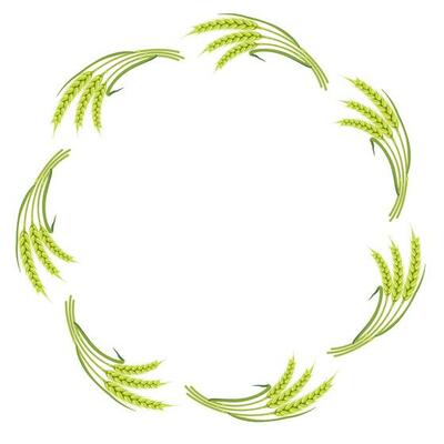 Round frame made of ears of wheat. Border from cereal plants. Ornament for the design of flour products.