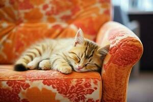 Cute cat sleeping or resting on the sofa at home. Lazy cat sleeping on the sofa. Cat day concept by AI Generated photo