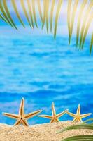 Orange starfish on sandy beach with palm tree behind sea background. Vertical. Summer, vacation, tourism in hot country. Copy space photo