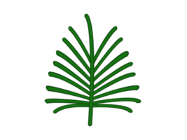 a 3d palm tree icon on a transparent background png