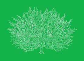 White outline tree on a green background hand drawn .Vector illustration. vector