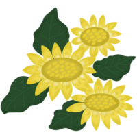 illustratie van zonnebloem en bladeren. png