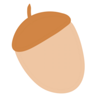 Acorn cartoon isolated png