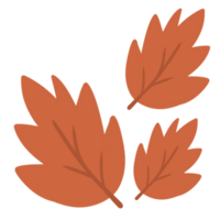 Autumn leaves isolated png