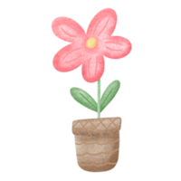 Red flower in pot design illustration png