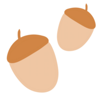 Acorn cartoon isolated png