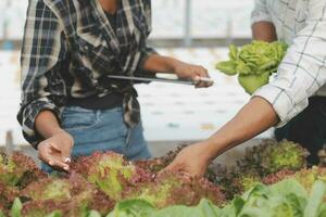 asiático mujer granjero utilizando digital tableta en vegetal jardín a invernadero, negocio agricultura tecnología concepto, calidad inteligente agricultor. foto