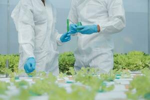 Asian woman farmer using digital tablet in vegetable garden at greenhouse, Business agriculture technology concept, quality smart farmer. photo