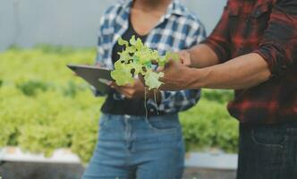 asiático mujer granjero utilizando digital tableta en vegetal jardín a invernadero, negocio agricultura tecnología concepto, calidad inteligente agricultor. foto