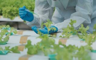 asiático mujer granjero utilizando digital tableta en vegetal jardín a invernadero, negocio agricultura tecnología concepto, calidad inteligente agricultor. foto