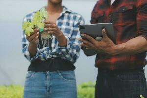 Asian woman farmer using digital tablet in vegetable garden at greenhouse, Business agriculture technology concept, quality smart farmer. photo