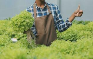 Asian woman farmer using digital tablet in vegetable garden at greenhouse, Business agriculture technology concept, quality smart farmer. photo