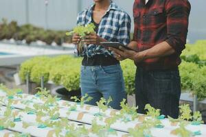 asiático mujer granjero utilizando digital tableta en vegetal jardín a invernadero, negocio agricultura tecnología concepto, calidad inteligente agricultor. foto