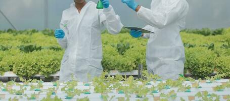 asiático mujer granjero utilizando digital tableta en vegetal jardín a invernadero, negocio agricultura tecnología concepto, calidad inteligente agricultor. foto