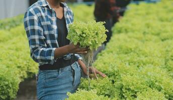 asiático mujer granjero utilizando digital tableta en vegetal jardín a invernadero, negocio agricultura tecnología concepto, calidad inteligente agricultor. foto