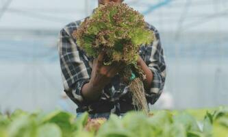 asiático mujer granjero utilizando digital tableta en vegetal jardín a invernadero, negocio agricultura tecnología concepto, calidad inteligente agricultor. foto