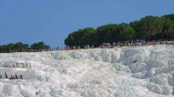 visitantes e turista pessoas anda em de pamukkale cálcio carbonato travertinos video