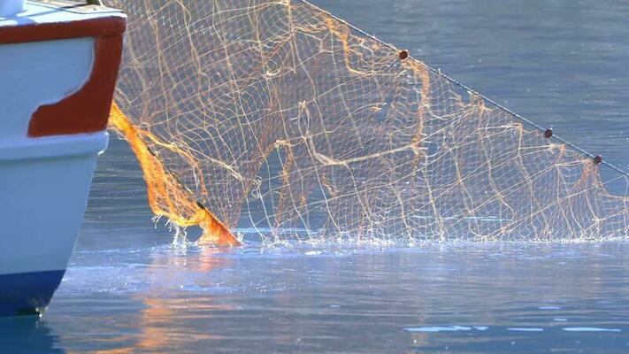 Fishing Net Stock Video Footage for Free Download