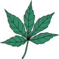 enkelhet cannabis blad freehand teckning png