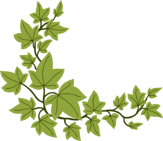 Simplicity ivy freehand drawing png