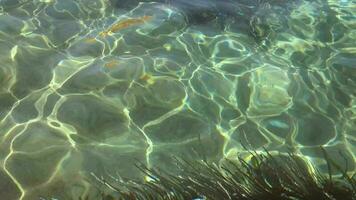 Reflection of Light On Sea Surface in Shallow Water Sand video