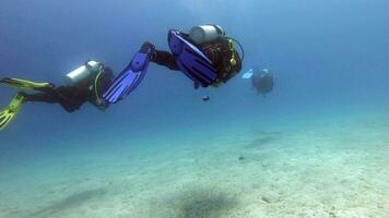 mergulhadores natação embaixo da agua mar video