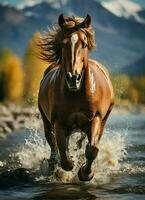 un salvaje caballo corriendo en el arroyo. salvaje o granja animales concepto por ai generado foto