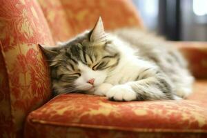 Cute cat sleeping or resting on the sofa at home. Lazy cat sleeping on the sofa. Cat day concept by AI Generated photo