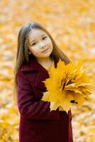 linda niña en otoño ropa en el parque participación un ramo de flores de amarillo hojas en el parque foto