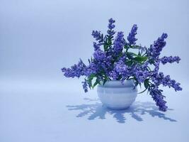 Artificial lavender flower isolated white background photo