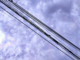 angle of wires and cables on clouds background. Messy electricity wires and cables. photo