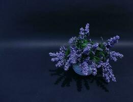 Artificial lavender flower isolated black background photo