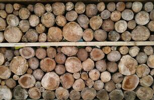 abstract background of cut and stacked wood. Texture and pattern of stack log. photo