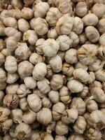 Group of garlics at the store photo