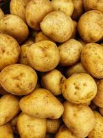 Group of potatoes at the store photo