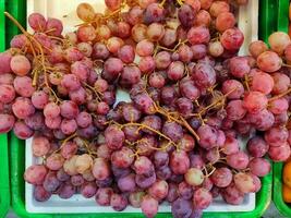 Photo fresh grape on market or store