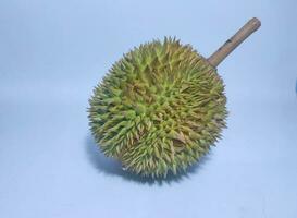 Durian, commonly called the king of fruits, is a tropical fruit, isolated on white background photo